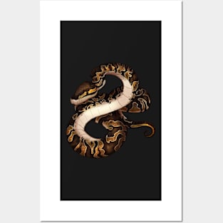 Cozy Ball Python Posters and Art